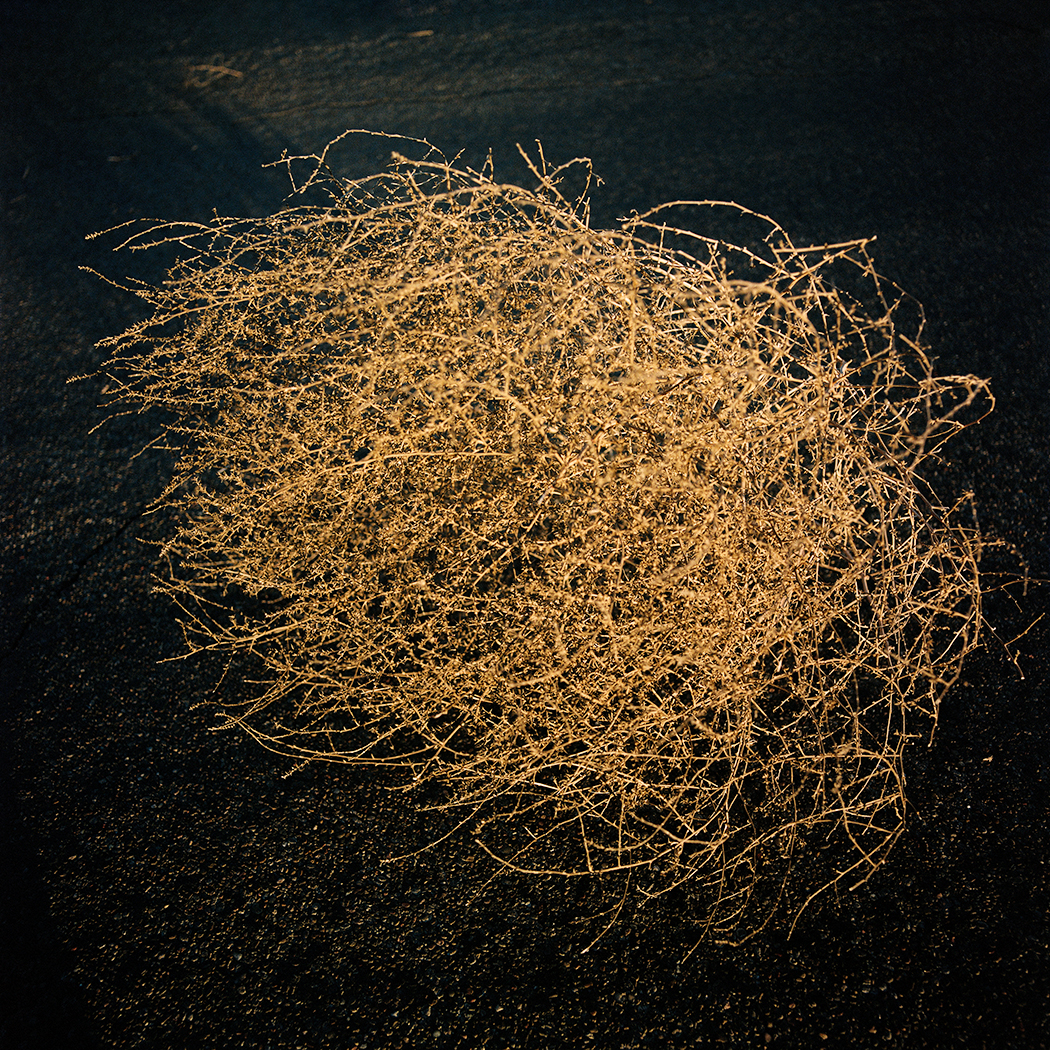 Tumbleweed2